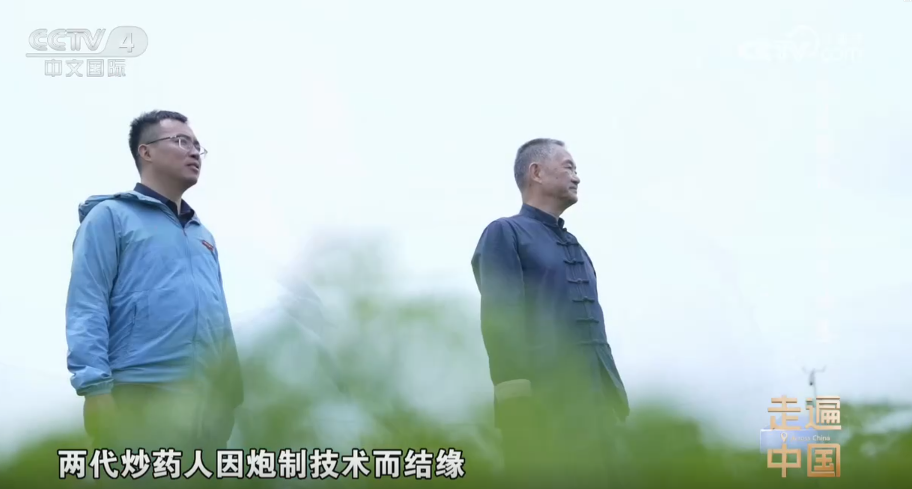央视《走遍中国》聚焦川药传承  新绿色集团胡昌江教授再度展现非遗炮制技艺