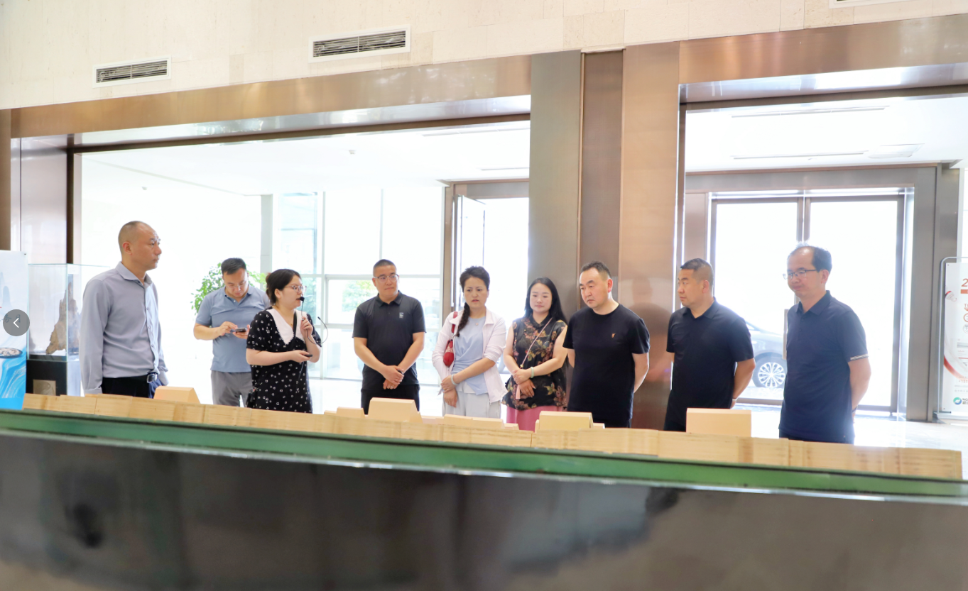 实地调研察实情 互学共鉴促发展｜张掖甘州区卫生健康局、医保局领导一行莅临新绿色药