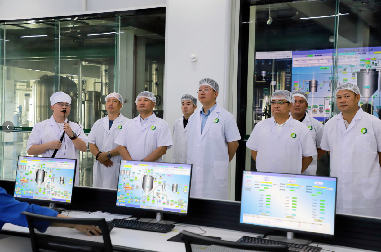 以调研促交流 以协作谋共赢｜广东省湛江市市场监管局、遂溪县领导一行莅临新绿色药业